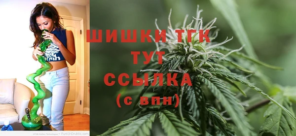 гидропоника Алзамай