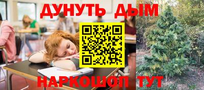 PSILOCYBIN Краснодар