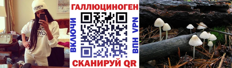 Псилоцибиновые грибы прущие грибы  купить наркотик  Красноармейск 